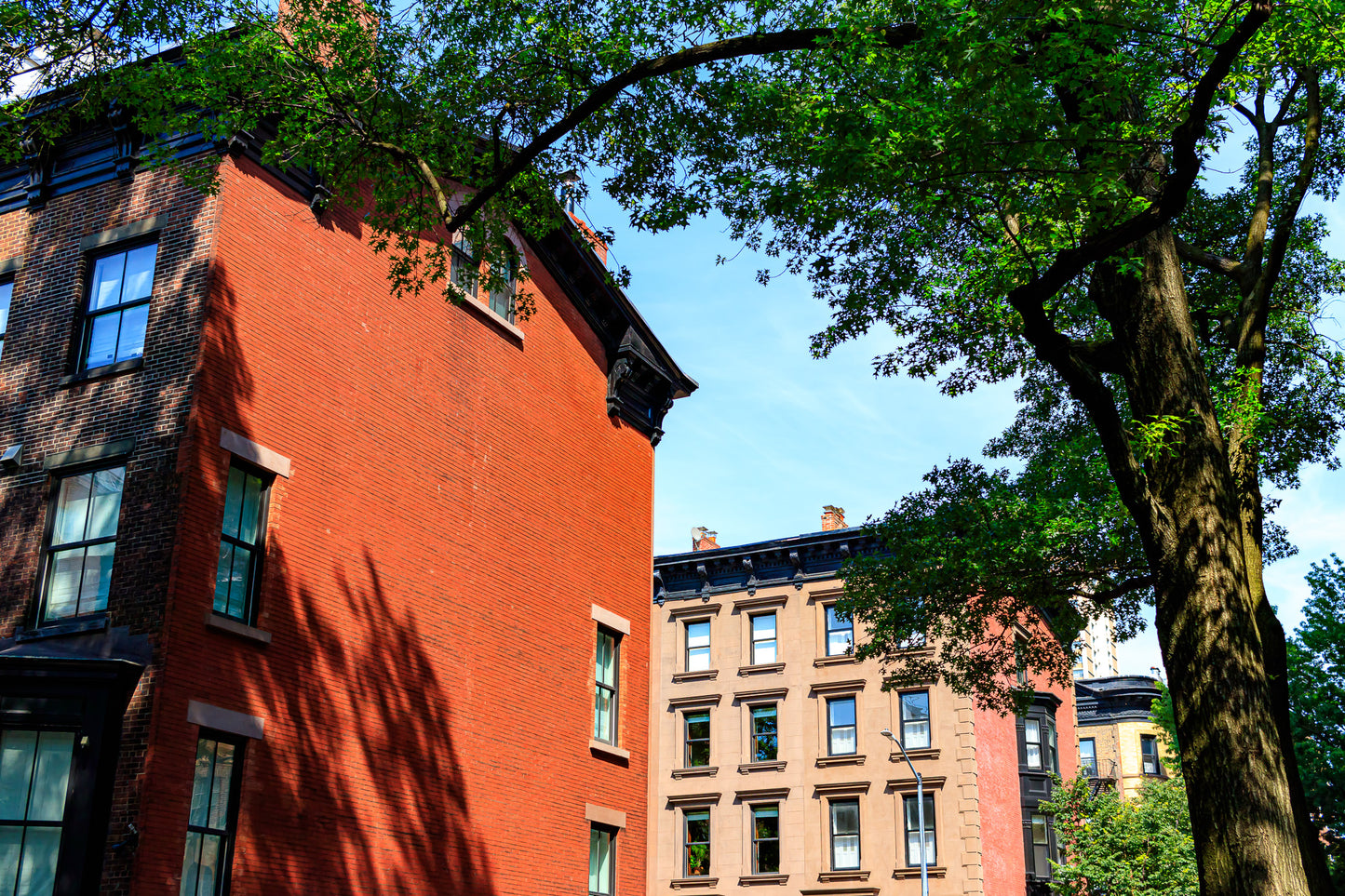 Brooklyn brownstone